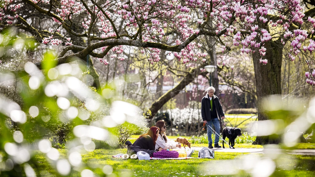 Komende dagen veel zon en vrijwel droog, past in trend